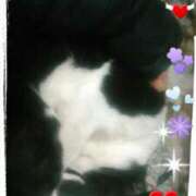 ヒメ日記 2025/01/22 13:18 投稿 中山 鶯うぐ