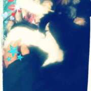 ヒメ日記 2025/02/04 10:18 投稿 中山 鶯うぐ