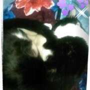 ヒメ日記 2025/02/07 12:32 投稿 中山 鶯うぐ