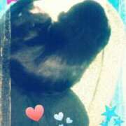 ヒメ日記 2025/02/10 12:28 投稿 中山 鶯うぐ