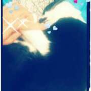 ヒメ日記 2025/02/14 12:04 投稿 中山 鶯うぐ