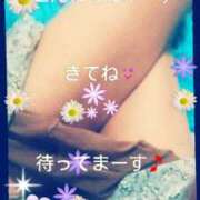 ヒメ日記 2025/02/19 13:52 投稿 中山 鶯うぐ