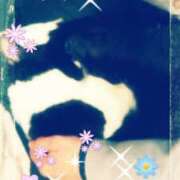 ヒメ日記 2025/02/25 12:46 投稿 中山 鶯うぐ