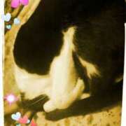 ヒメ日記 2025/03/07 10:32 投稿 中山 鶯うぐ