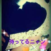 ヒメ日記 2025/03/11 13:24 投稿 中山 鶯うぐ