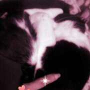 ヒメ日記 2025/03/12 22:12 投稿 中山 鶯うぐ