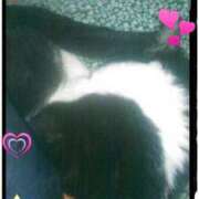 ヒメ日記 2025/03/16 10:32 投稿 中山 鶯うぐ