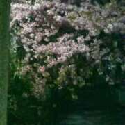 ヒメ日記 2025/03/20 21:44 投稿 中山 鶯うぐ