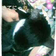 ヒメ日記 2025/03/21 10:50 投稿 中山 鶯うぐ