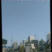 ヒメ日記 2025/03/25 22:12 投稿 中山 鶯うぐ