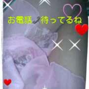 ヒメ日記 2025/03/26 12:38 投稿 中山 鶯うぐ