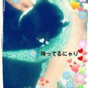 ヒメ日記 2025/03/28 13:38 投稿 中山 鶯うぐ