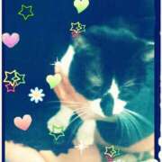 ヒメ日記 2025/03/30 11:08 投稿 中山 鶯うぐ