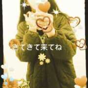 ヒメ日記 2025/04/03 12:18 投稿 中山 鶯うぐ