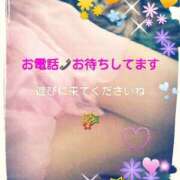 ヒメ日記 2025/04/08 16:22 投稿 中山 鶯うぐ