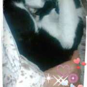 ヒメ日記 2025/04/09 22:30 投稿 中山 鶯うぐ