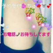 ヒメ日記 2025/04/11 10:44 投稿 中山 鶯うぐ