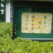 ヒメ日記 2025/04/13 13:24 投稿 中山 鶯うぐ