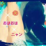 ヒメ日記 2025/04/15 11:04 投稿 中山 鶯うぐ