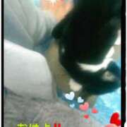 ヒメ日記 2025/04/20 10:24 投稿 中山 鶯うぐ