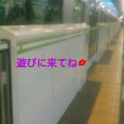 ヒメ日記 2025/04/30 10:08 投稿 中山 鶯うぐ