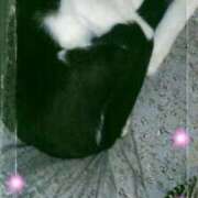 ヒメ日記 2025/05/08 22:36 投稿 中山 鶯うぐ