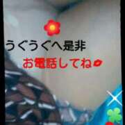 ヒメ日記 2025/05/15 12:46 投稿 中山 鶯うぐ