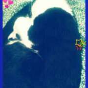 ヒメ日記 2025/05/17 21:52 投稿 中山 鶯うぐ