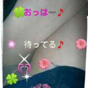 ヒメ日記 2025/05/28 10:32 投稿 中山 鶯うぐ