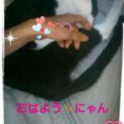 ヒメ日記 2025/05/30 09:42 投稿 中山 鶯うぐ