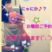 ヒメ日記 2025/06/03 10:08 投稿 中山 鶯うぐ