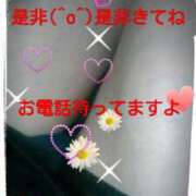 ヒメ日記 2025/06/10 13:28 投稿 中山 鶯うぐ