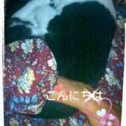 ヒメ日記 2025/06/11 11:08 投稿 中山 鶯うぐ