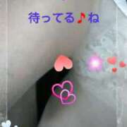 ヒメ日記 2025/06/14 12:32 投稿 中山 鶯うぐ