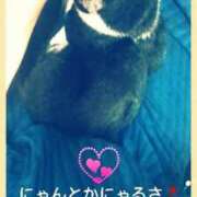 ヒメ日記 2025/07/01 12:26 投稿 中山 鶯うぐ