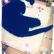 ヒメ日記 2025/07/11 12:10 投稿 中山 鶯うぐ