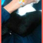 ヒメ日記 2025/08/07 10:02 投稿 中山 鶯うぐ