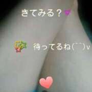 ヒメ日記 2025/08/11 12:20 投稿 中山 鶯うぐ