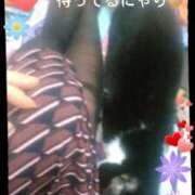 ヒメ日記 2025/10/30 09:28 投稿 中山 鶯うぐ