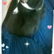 ヒメ日記 2025/11/03 10:32 投稿 中山 鶯うぐ