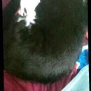 ヒメ日記 2025/11/16 12:54 投稿 中山 鶯うぐ