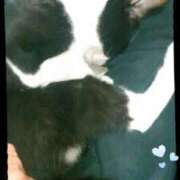 ヒメ日記 2025/12/10 13:40 投稿 中山 鶯うぐ