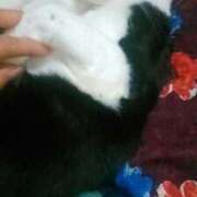 ヒメ日記 2025/12/18 13:18 投稿 中山 鶯うぐ