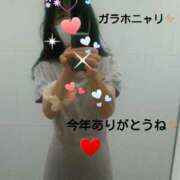 ヒメ日記 2025/12/30 11:26 投稿 中山 鶯うぐ