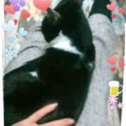 ヒメ日記 2026/01/01 11:48 投稿 中山 鶯うぐ