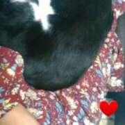 ヒメ日記 2026/01/05 12:36 投稿 中山 鶯うぐ