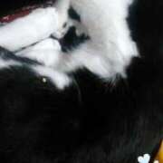 ヒメ日記 2026/01/23 22:20 投稿 中山 鶯うぐ