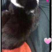 ヒメ日記 2026/01/28 09:12 投稿 中山 鶯うぐ