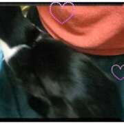 ヒメ日記 2026/02/09 11:18 投稿 中山 鶯うぐ