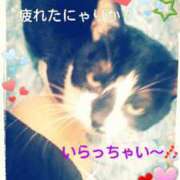 ヒメ日記 2026/02/12 12:20 投稿 中山 鶯うぐ